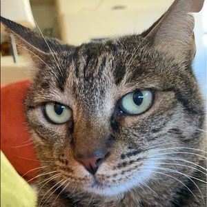 Meet your Posher, Ayesha